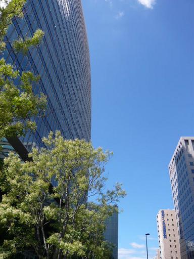 b0205303_194342.jpg