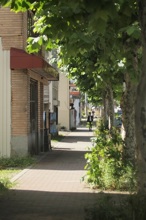 c0202705_23593612.jpg