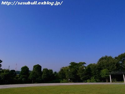 e0145805_855695.jpg