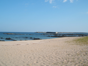 f0048405_99175.jpg