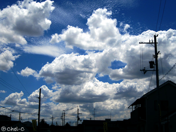 a0154706_18102616.jpg