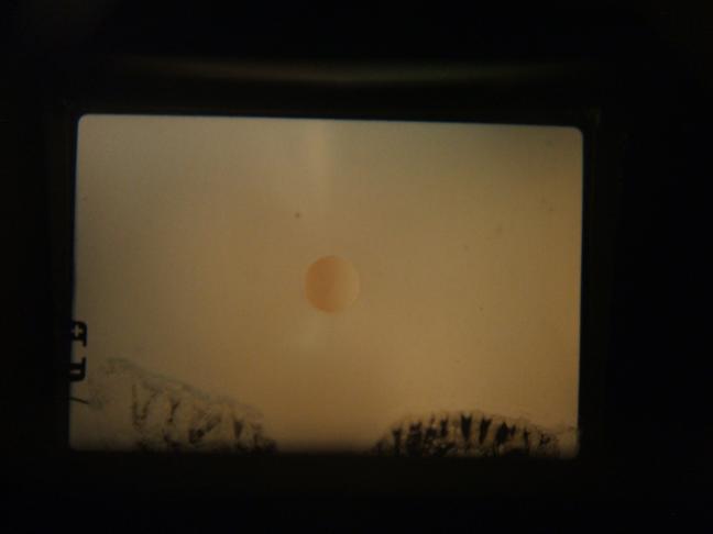d0071507_30248.jpg
