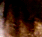 e0103408_12582083.gif