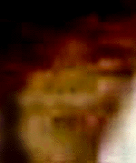 e0103408_12583329.gif