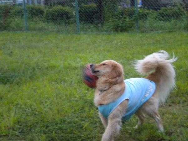 d0150309_20301137.jpg