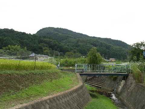 c0051112_12192547.jpg