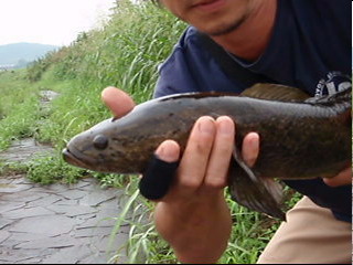 c0149214_15322250.jpg
