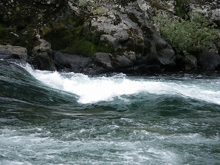 a0059315_19262735.jpg