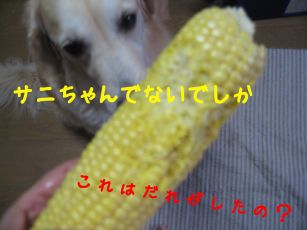b0008217_12511561.jpg