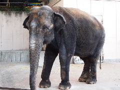 a0157619_2395046.jpg