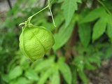 f0139520_14463330.jpg