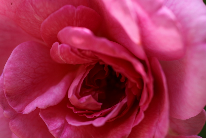 b0165522_20271510.jpg
