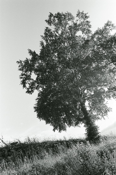 f0182924_21363277.jpg