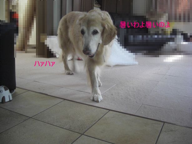 e0142430_12152117.jpg