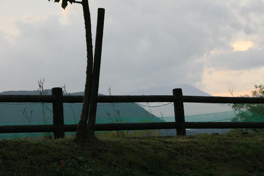 f0124830_2125112.jpg