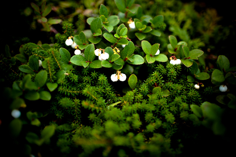 c0216331_0772.jpg