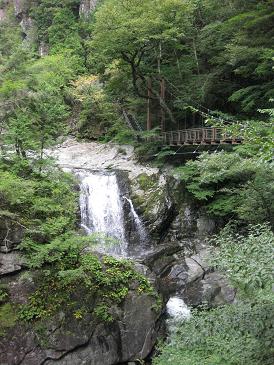 b0079436_1155587.jpg