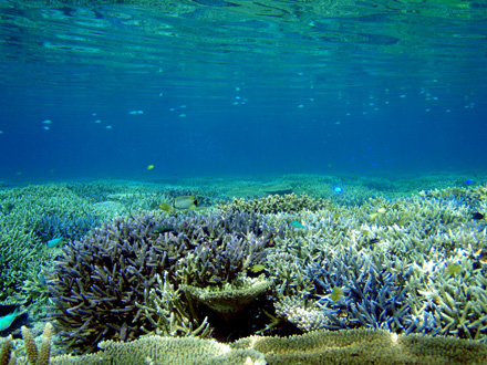 f0014842_15132269.jpg