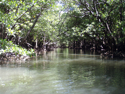 f0014842_15225196.jpg