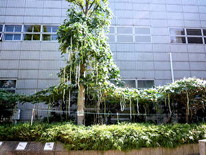 d0039443_8555563.jpg