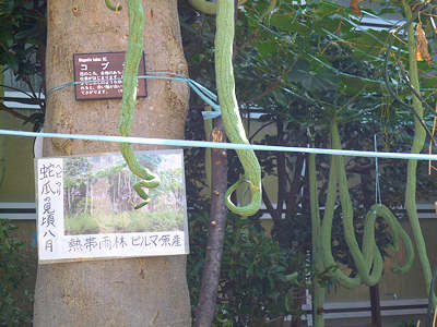 d0039443_924485.jpg