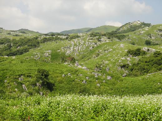 e0164643_15201318.jpg