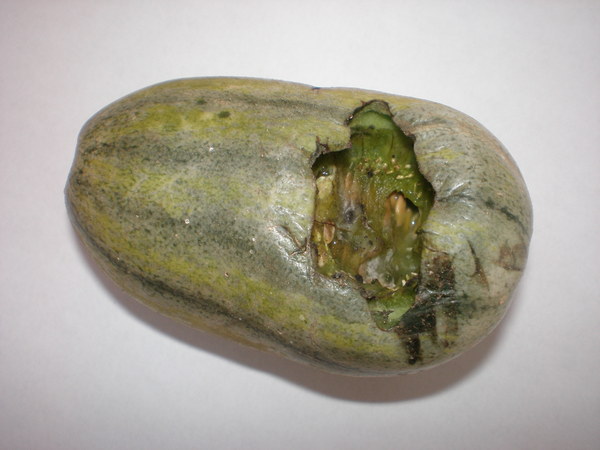 c0153444_1272447.jpg