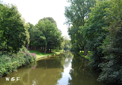 f0153345_15392878.jpg