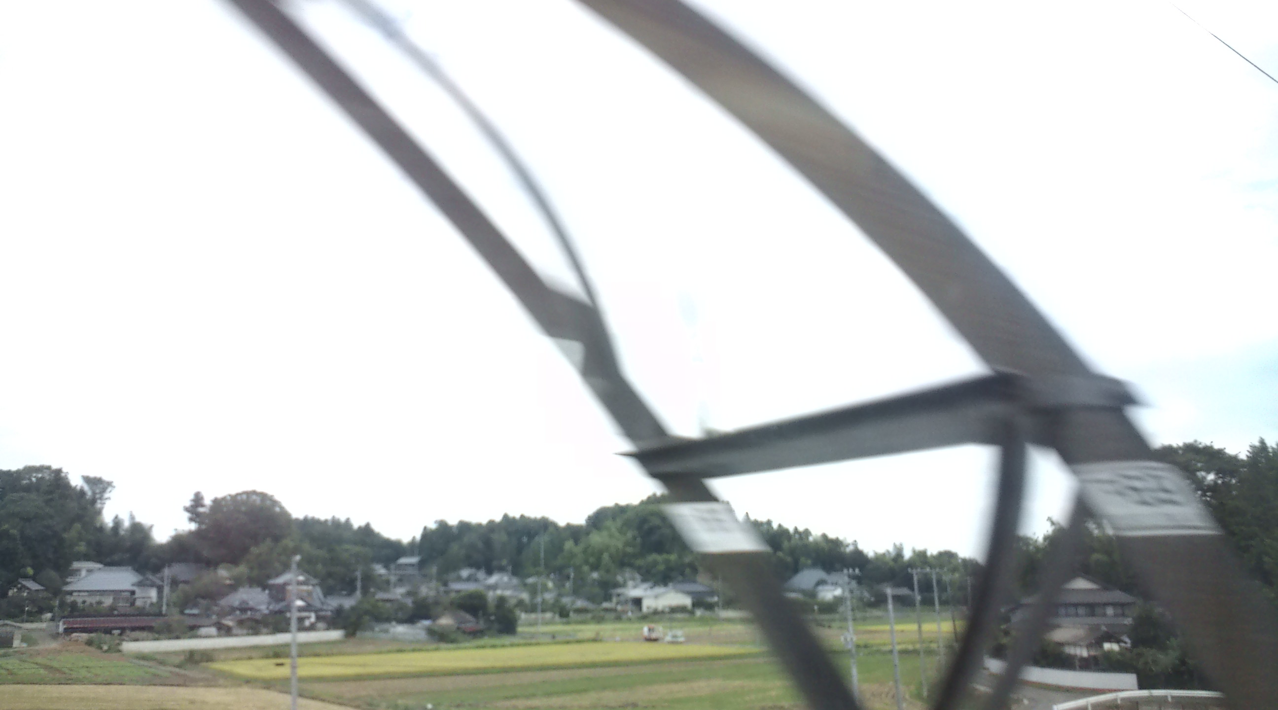 b0202747_1083721.jpg