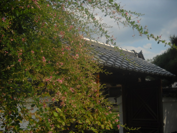 c0190847_23405577.jpg