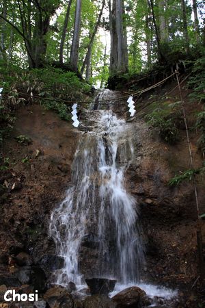 c0004750_139293.jpg