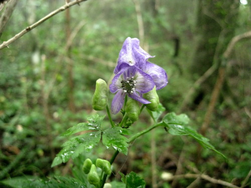c0179351_18255297.jpg