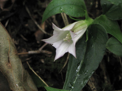 c0179351_18265110.jpg