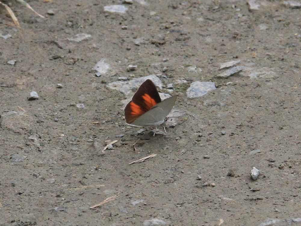 a0146869_3135441.jpg