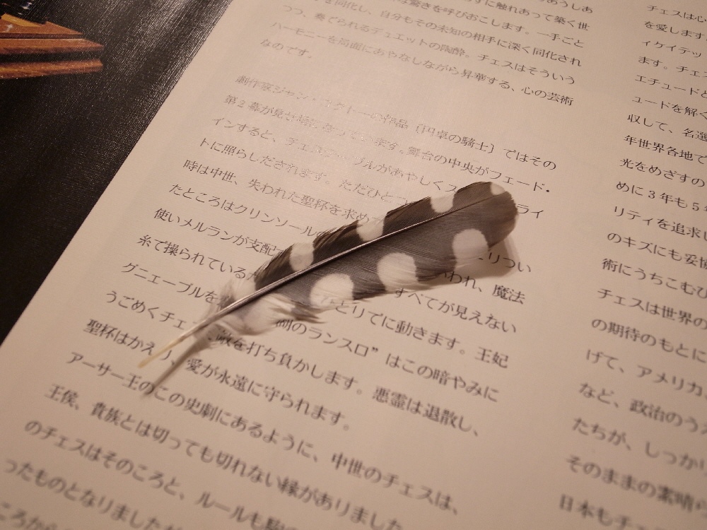b0103470_203521100.jpg