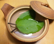f0237680_16253718.jpg