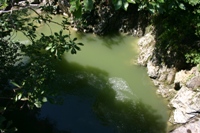 c0057781_13572913.jpg