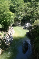 c0057781_13575359.jpg