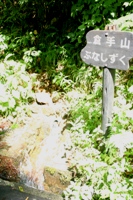 c0057781_1359259.jpg