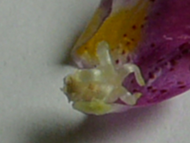e0145782_16382350.jpg