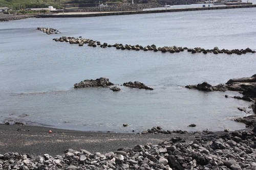 c0204385_1911856.jpg