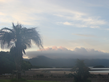 c0035386_18115425.jpg