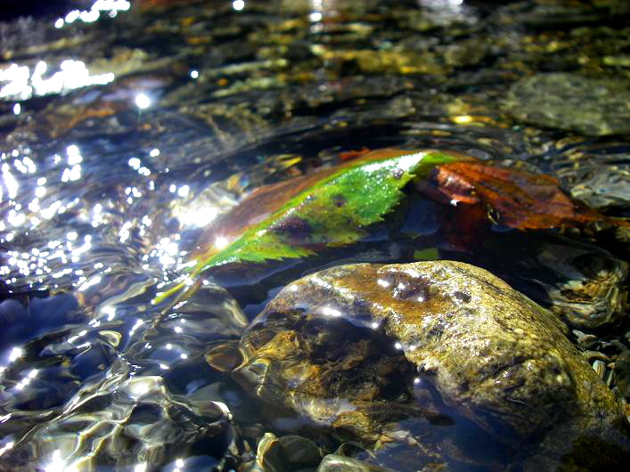 c0136486_12202561.jpg