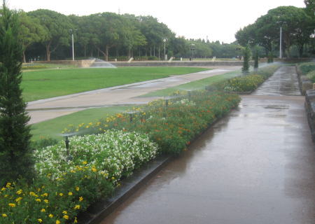 f0085889_11205069.jpg