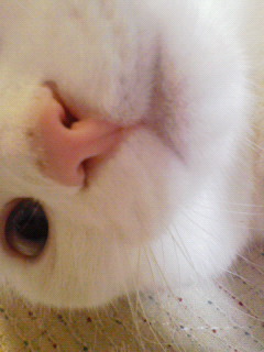 e0054290_02155.jpg
