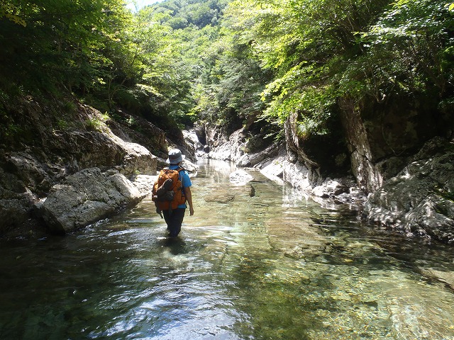 c0147398_10202410.jpg