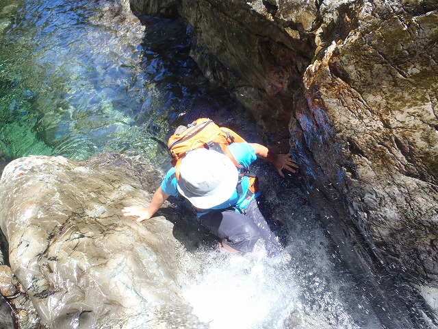 c0147398_10204056.jpg