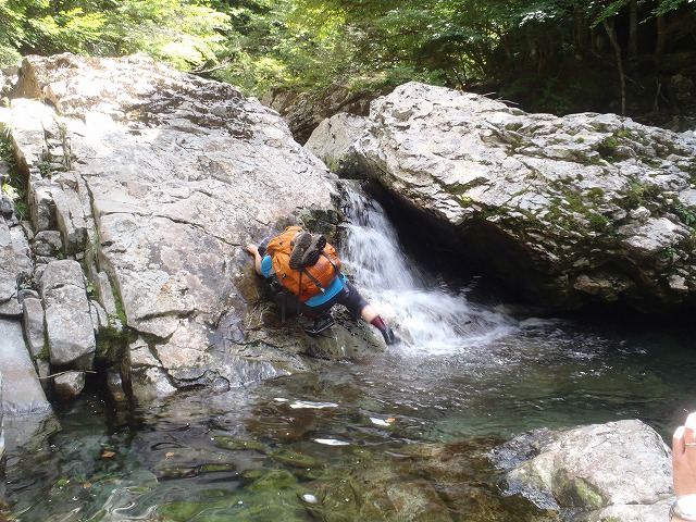 c0147398_10213664.jpg