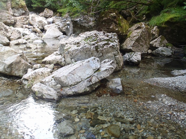 c0147398_10253159.jpg