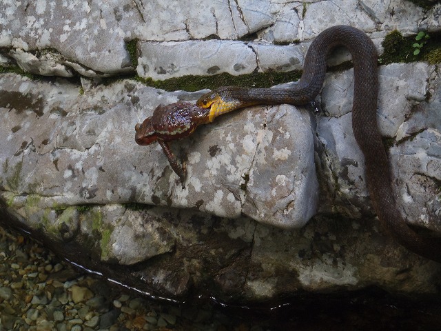 c0147398_10254050.jpg